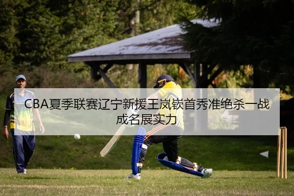 xia-ji-lian-sai-liao-ning-xin-yuan-wang-lan-qin-shou-xiu-zhun-jue-sha-yi-zhan-cheng-ming-zhan-shi-li-2-816.jpg